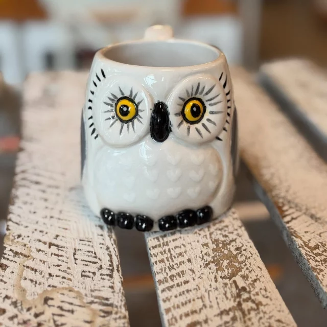 Dürfen wir vorstellen: eine schlichte und sehr charmante Hedwig. Seht ihr einfach nur tief in die Augen…. 👀 #diemalbucht #keramik #keramikbemalen #keramikselberbemalen #selbermachen #kreativsein #hamburghamm #geschenk #farbenfroh #ahoi #freizeit #hamburg #familie #kinder #gegenlangeweile #lebensfreude #tischkultur #inspiration #zuhausemalen #kreativ #eule